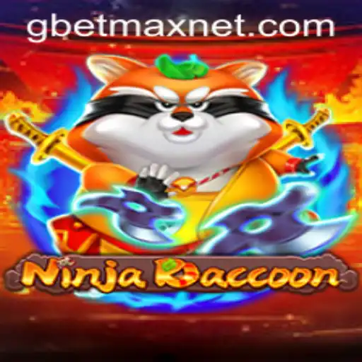 NinjaRaccoon: The Ultimate Adventure Game Experience